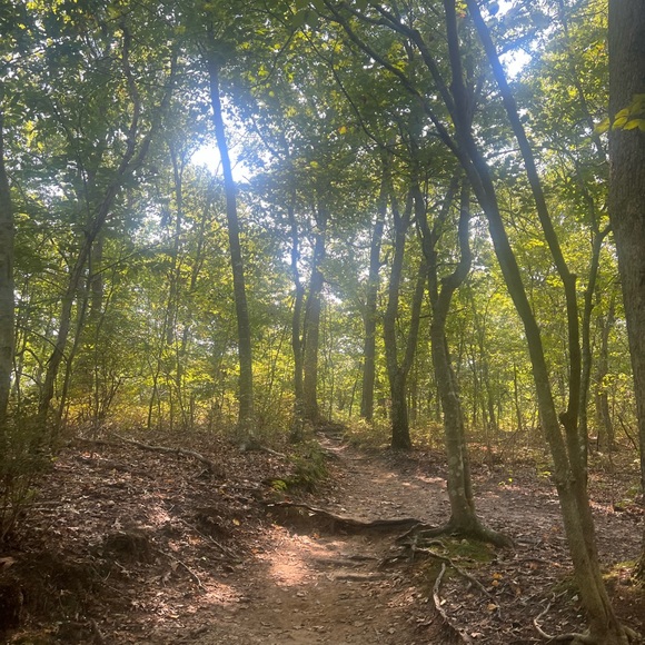 Meet your Posher, Panagiota - Picture 3 of 3